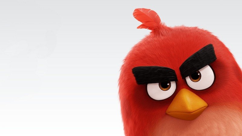 the-angry-birds-movie-2016-1