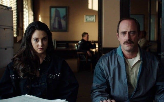 white-bird-in-a-blizzard-1