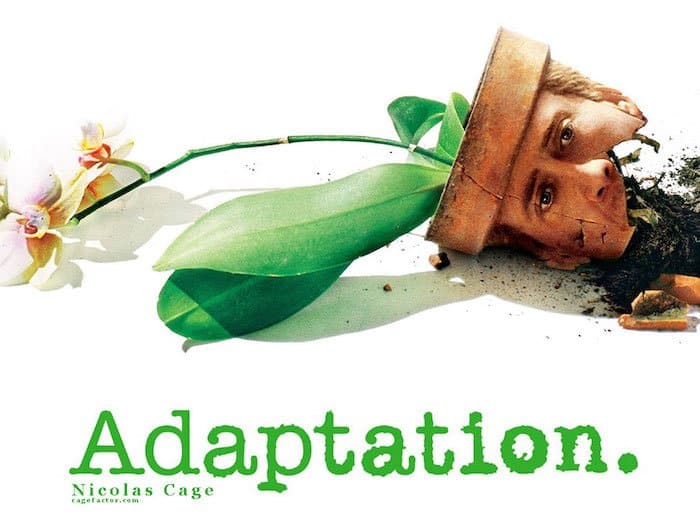 Adaptation Film