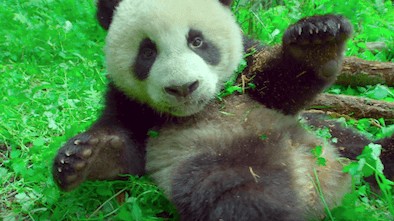 BBC Earth Releases Poster and Trailer For the Astounding Earth: One Amazing Day