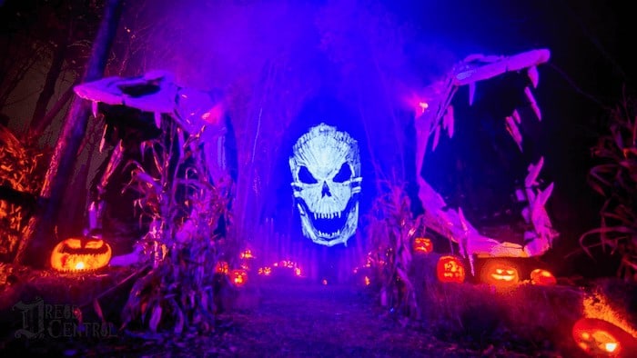 Haunters the art of the scare