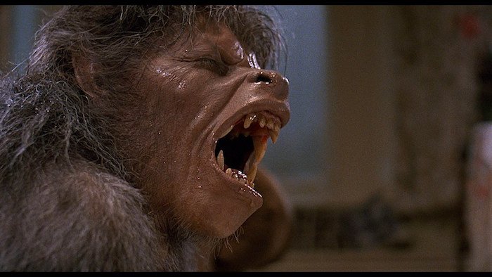 American Werewolf in London