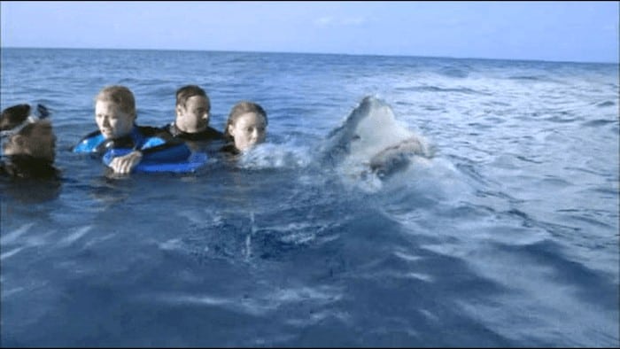 100 Horror Movies You Need To See In Your Lifetime