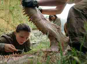 annihilation review
