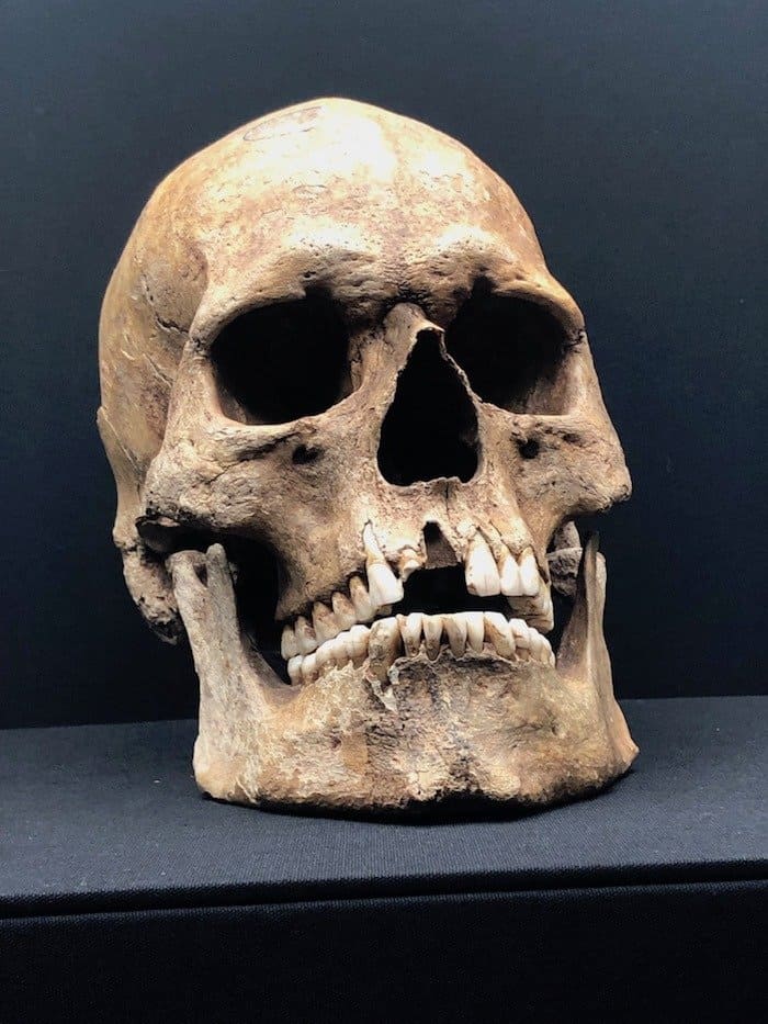 Skull Potteries Museum