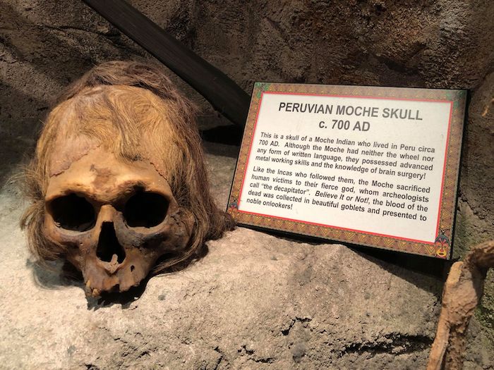 Ripley's Skull