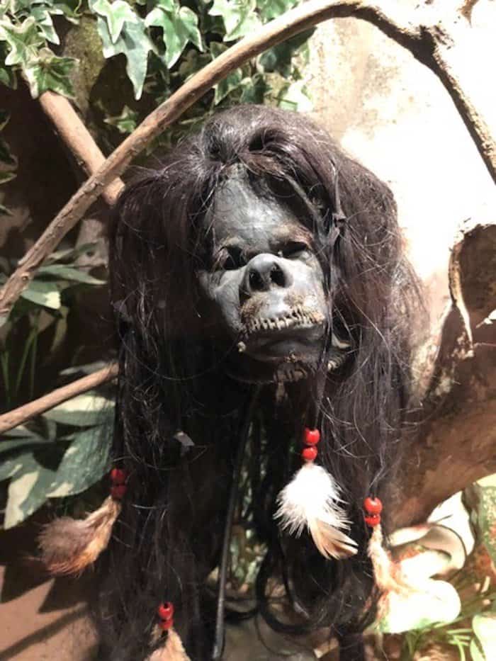 Shrunken Head Ripley's