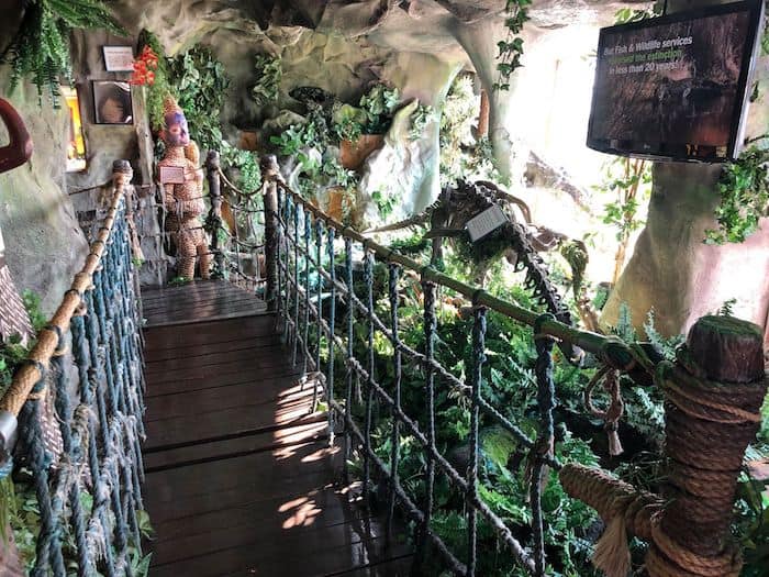 Tribal Bridge Ripley's