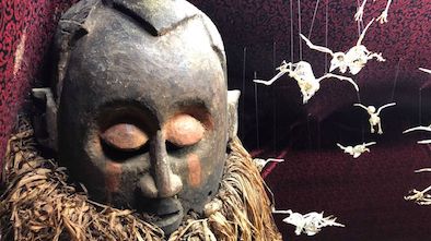 The World’s Weirdest Museum? Viktor Wynd’s in London Viktor Wynd