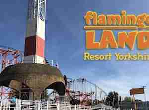 flamingo land review