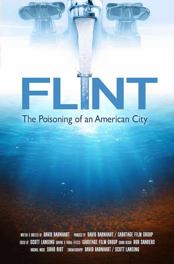 Flint Documentary Poster