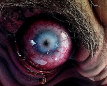 Rubber Gorilla Horror Masks UK