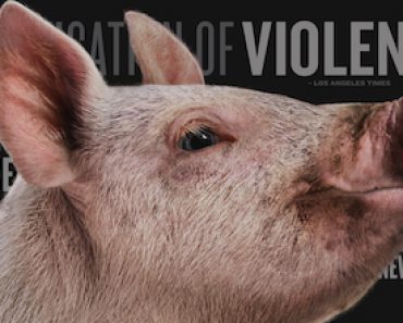 The Hunt Movie Review