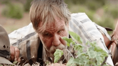 True Terror with Robert Englund Episode 2