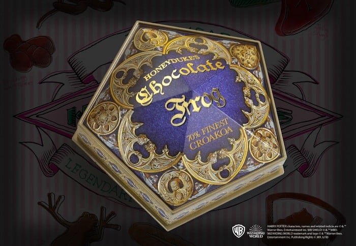 Chocolate Frog Box 