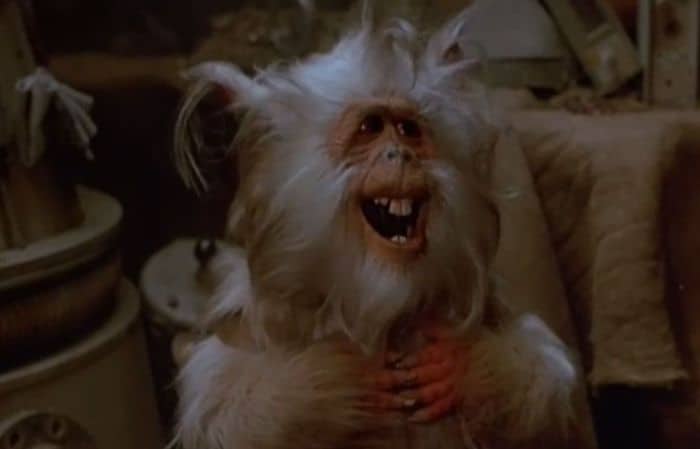 Ewoks Battle for Endor