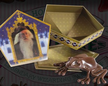 Harry Potter Chocolate Frog The Noble Collection