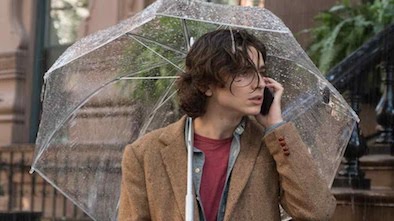 Rainy Day in New York Movie