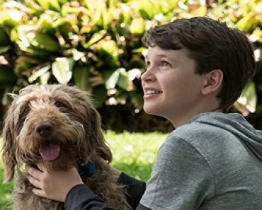 Think Like A Dog Still