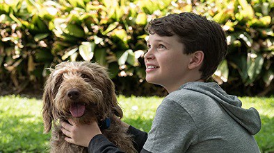 Think Like A Dog Still