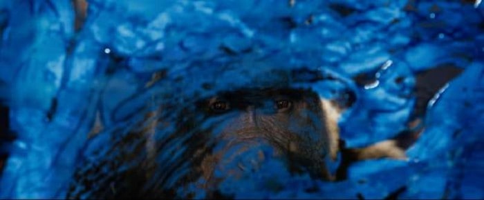 The One and Only Ivan Still