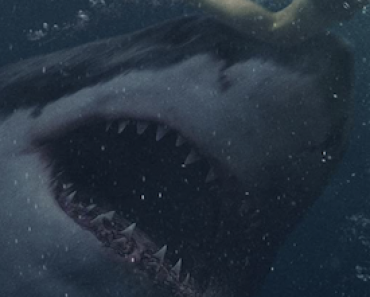 Great White Shark Movie