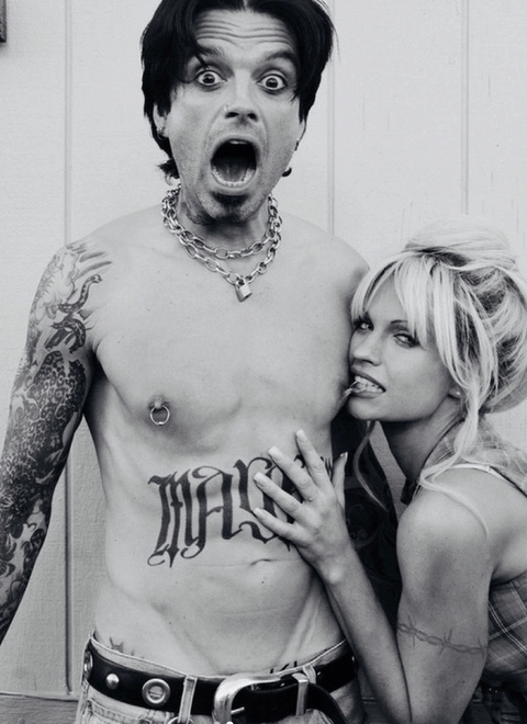 Pam and Tommy Series