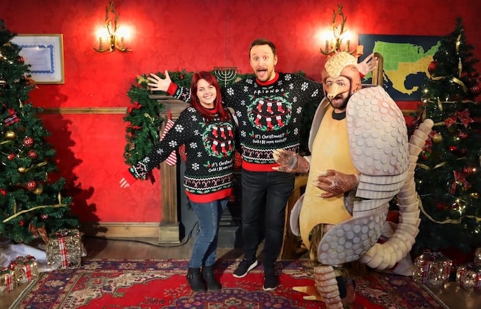 Holiday Armadillo FriendsFestive