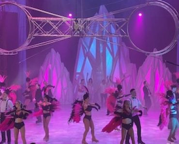 Gandeys Snowstorm Show