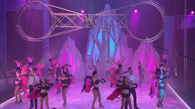 Gandeys Snowstorm Show