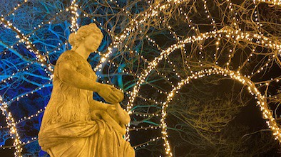 Trentham Christmas Lights Walk