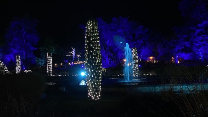 Trentham Gardens Xmas