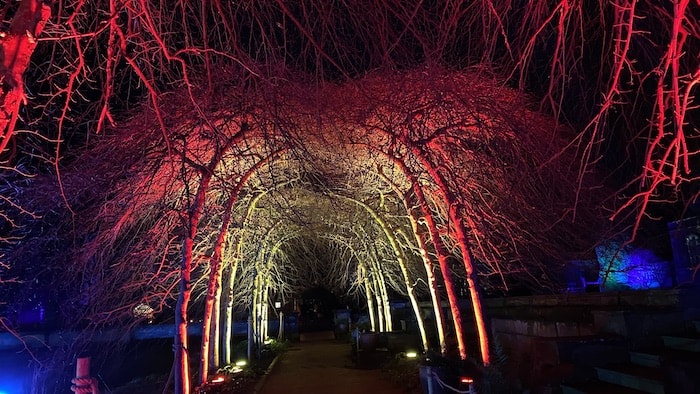 Trentham Lights Walk