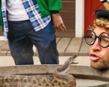 Jackass Forever Snake