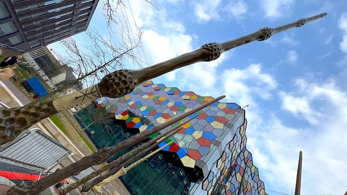 Wand Tour Harry Potter