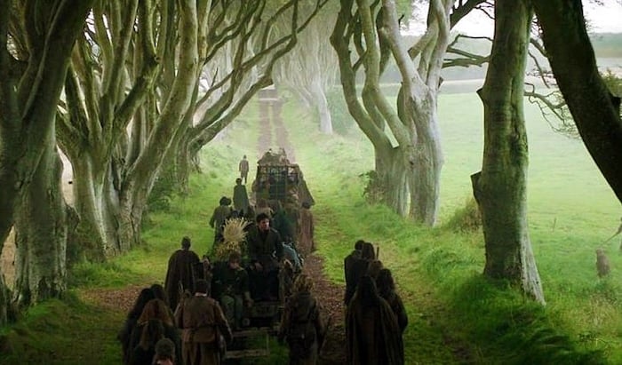 Game of Thrones Dark Hedges