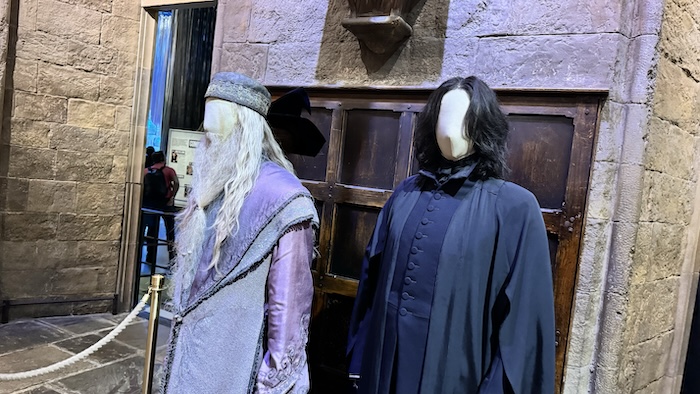 Dumbledore and Snape Costumes