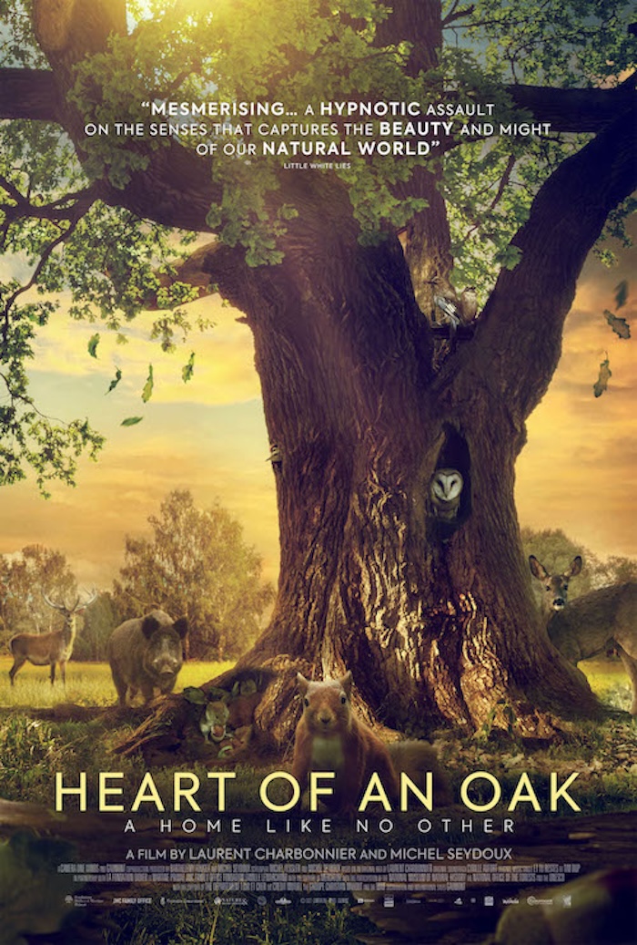 Heart of an Oak