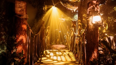 Paddington Bear Experience