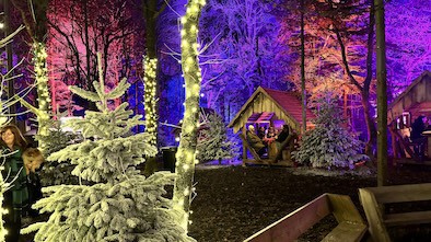 Tulleys Christmas Light Festival Review