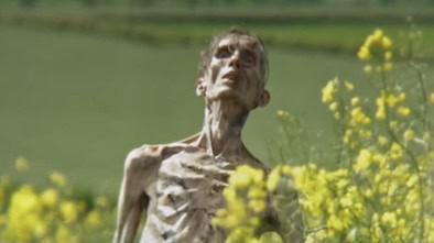 Zombie Cillian Murphy