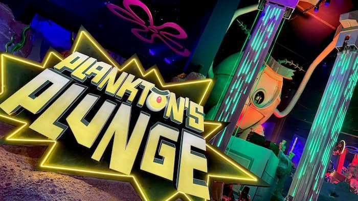 Plankton's Plunge Ride