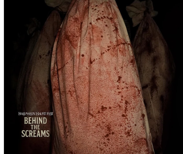 Texas Chainsaw Massacre Scare Maze