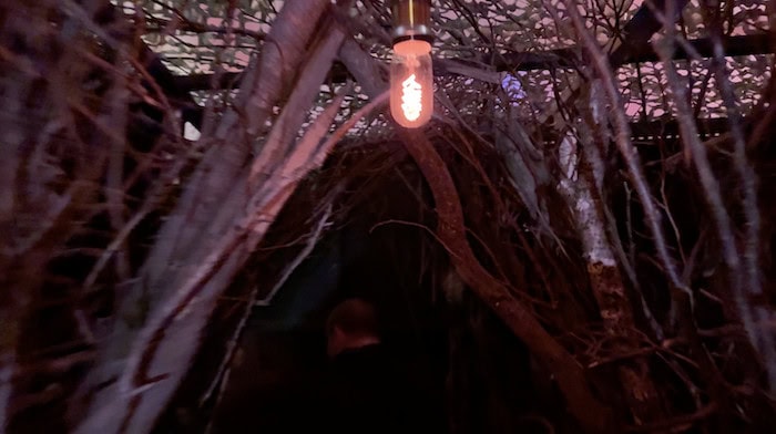 Winnie the Pooh Scare Maze Scene