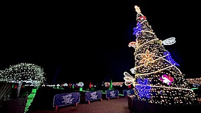 Winter Trail Trentham